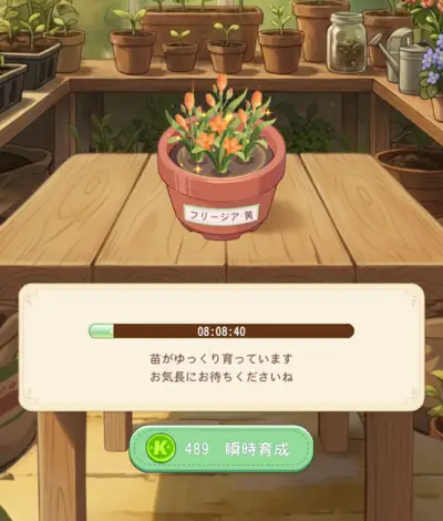 サンシャイン牧場2_攻略_4